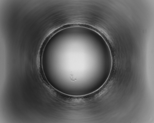 X0000096130982200801181109