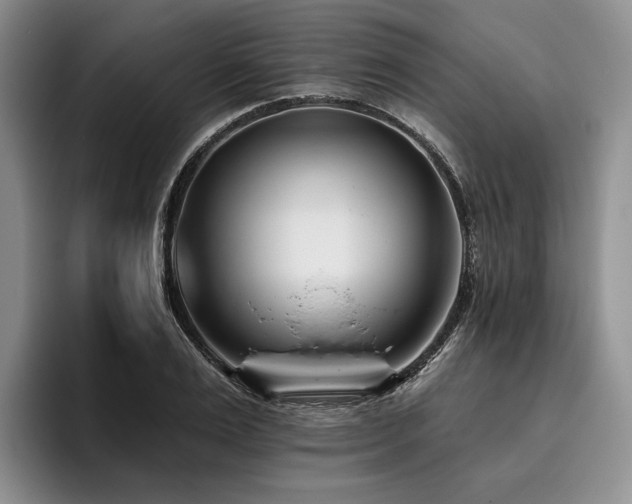 X0000096130983200801181109