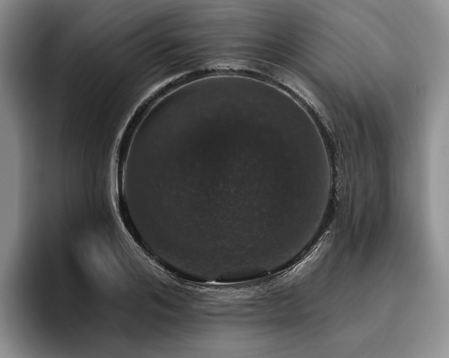X0000096130984200801181109