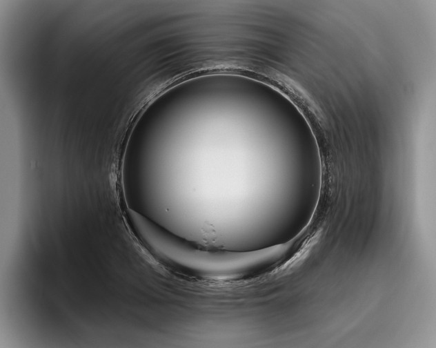 X0000096130985200801181109