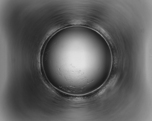 X0000096130986200801181109