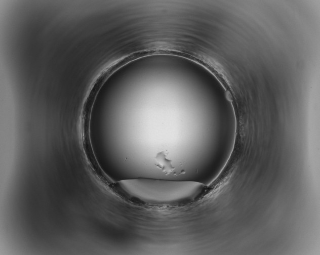 X0000096130987200801181109