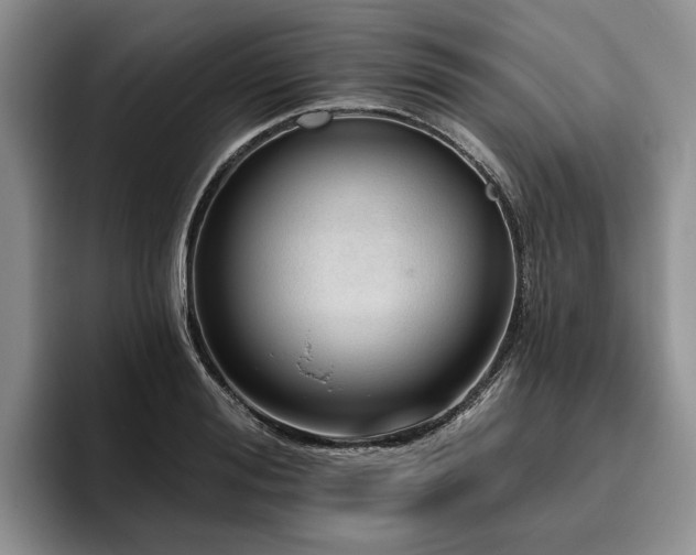 X0000096130988200801181109