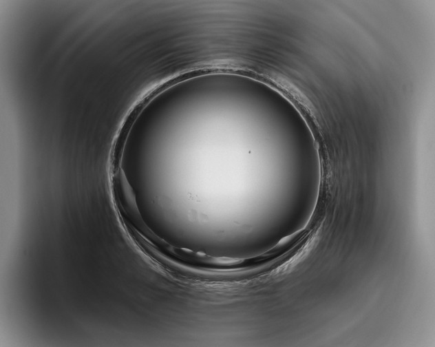 X0000096130989200801181109