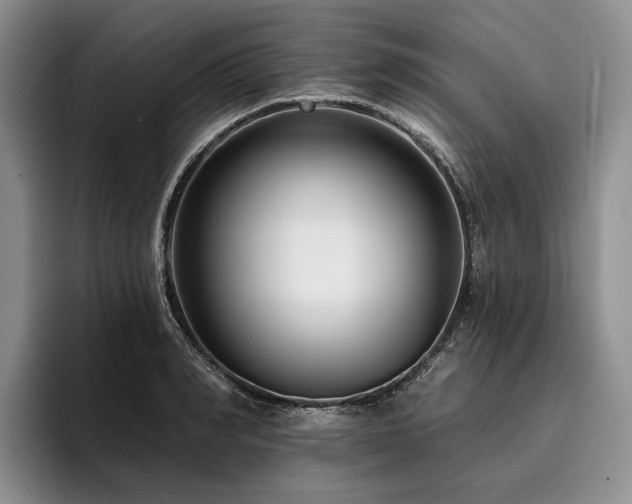 X0000096130990200801181109