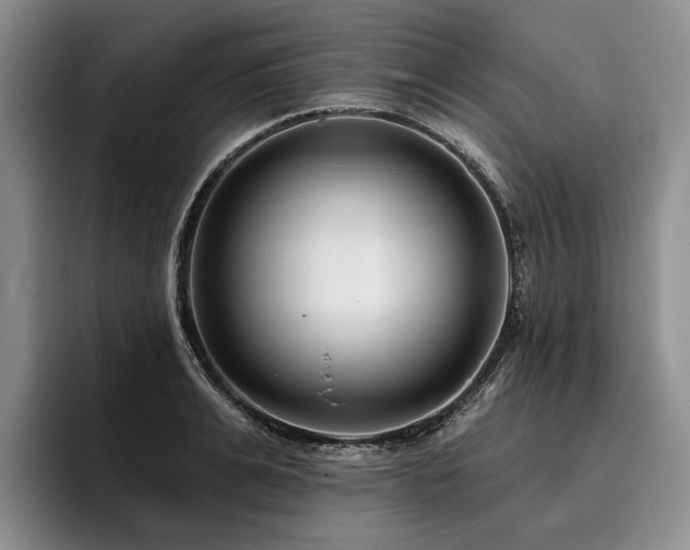 X0000096130991200801181109