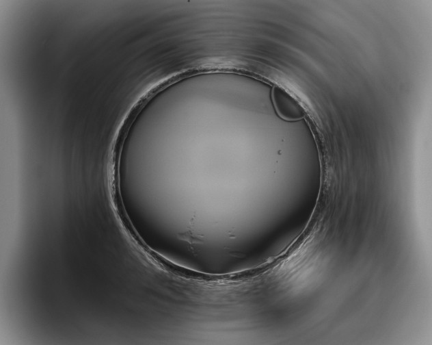 X0000096130992200801181109