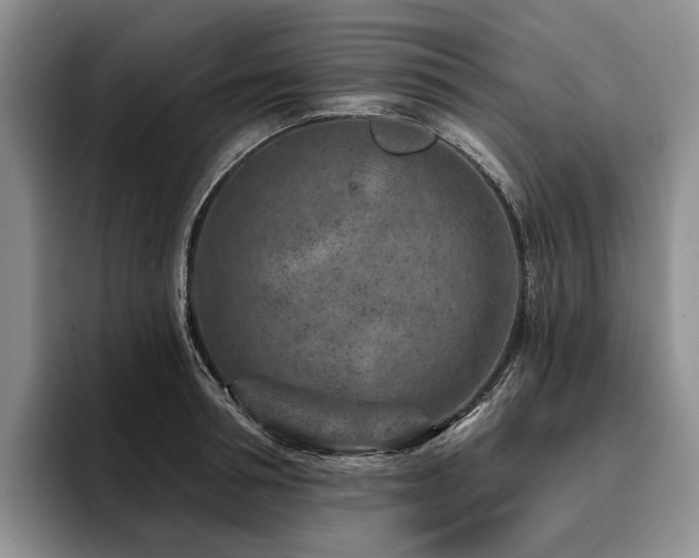 X0000096130994200801181109
