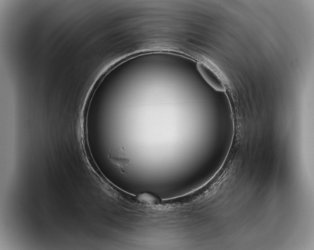 X0000096130996200801181109