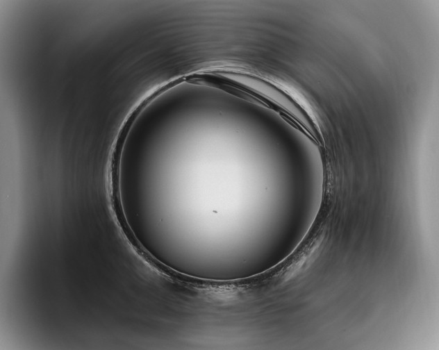 X0000096130999200801181109