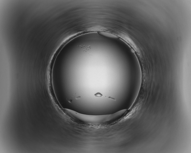 X0000096131000200801181109