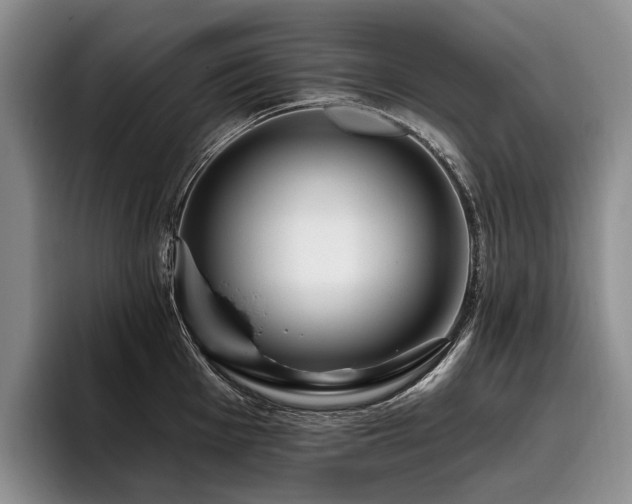 X0000096131001200801181109