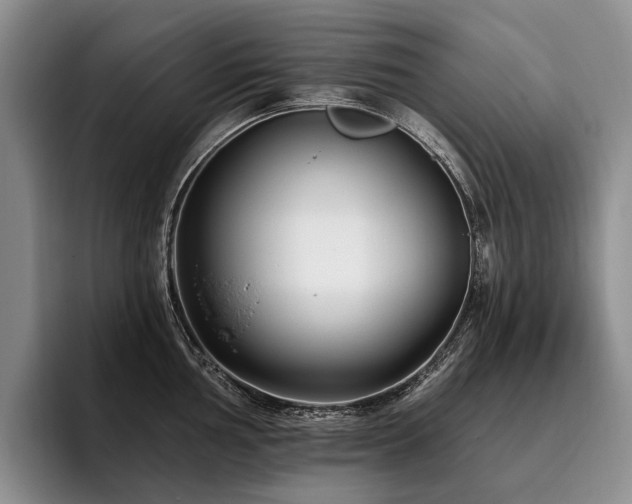 X0000096131002200801181109