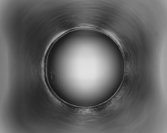 X0000096131003200801181109