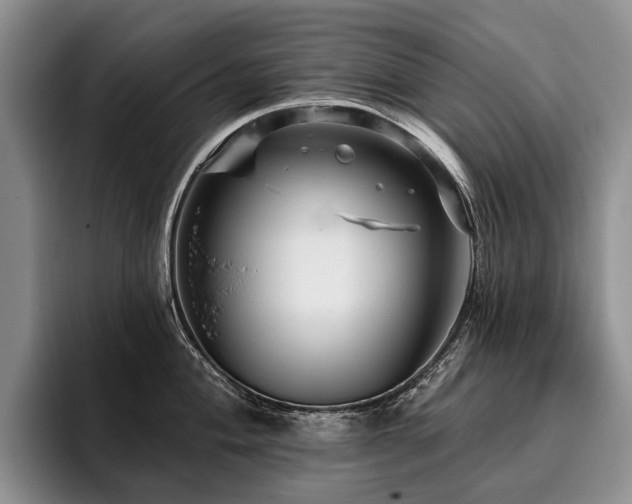 X0000096131004200801181109