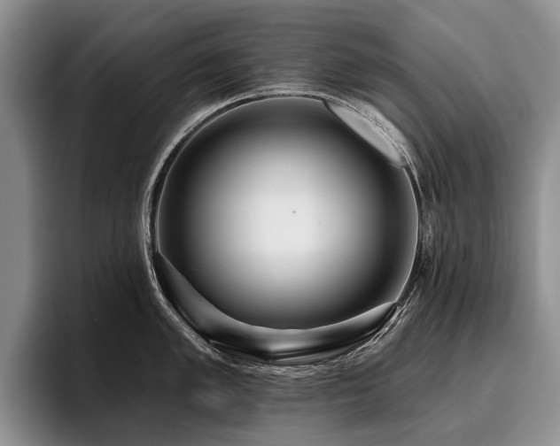 X0000096131005200801181109