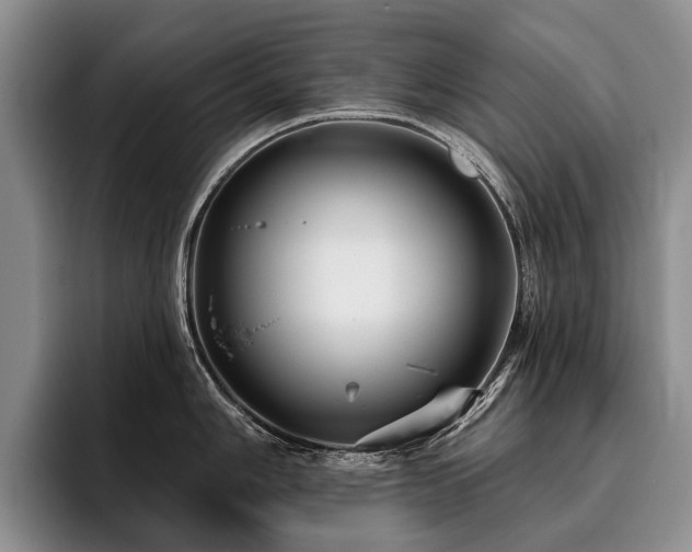 X0000096131006200801181109