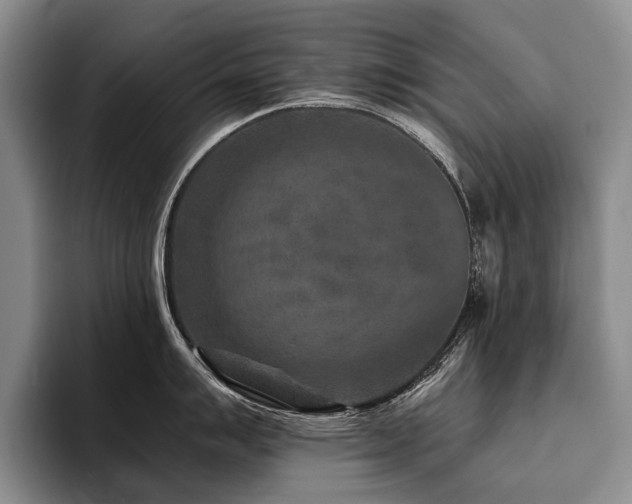 X0000096131007200801181109