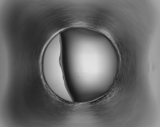 X0000096131008200801181109