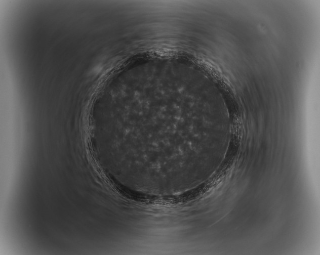 X0000096131009200801181108