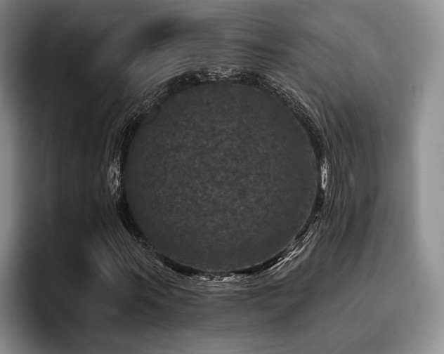 X0000096131011200801181108