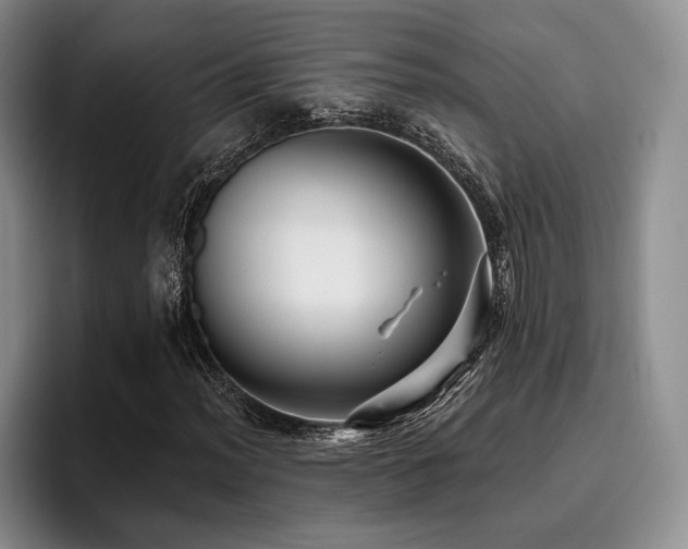 X0000096131012200801181108