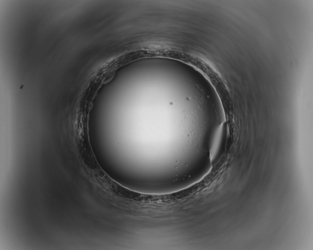 X0000096131016200801181108