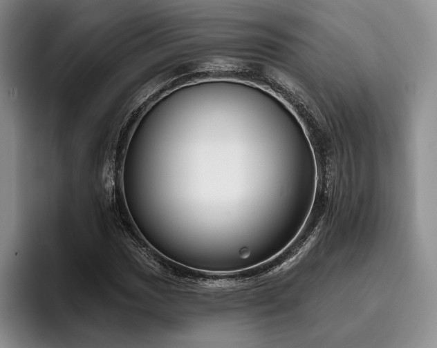 X0000096131017200801181108