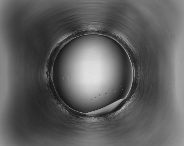 X0000096131018200801181108