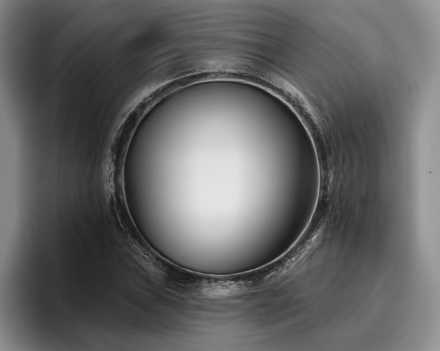 X0000096131019200801181108