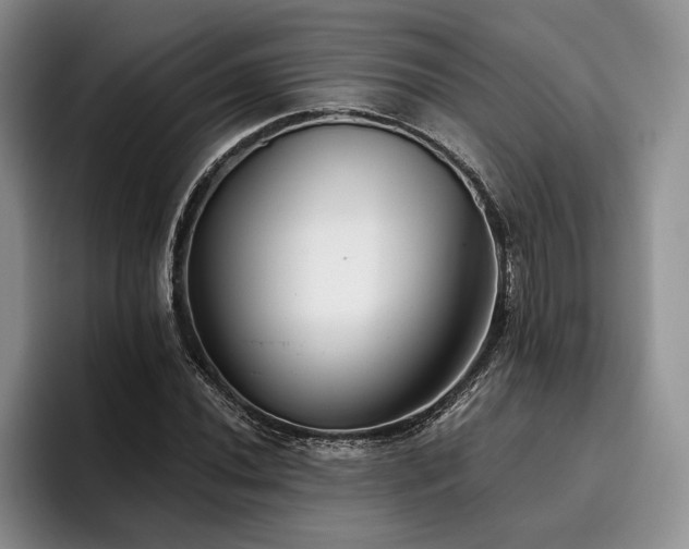 X0000096131020200801181108