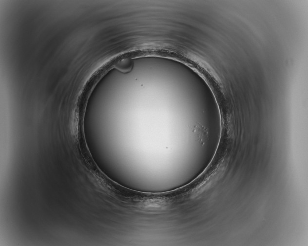 X0000096131021200801181108