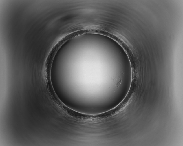 X0000096131022200801181108