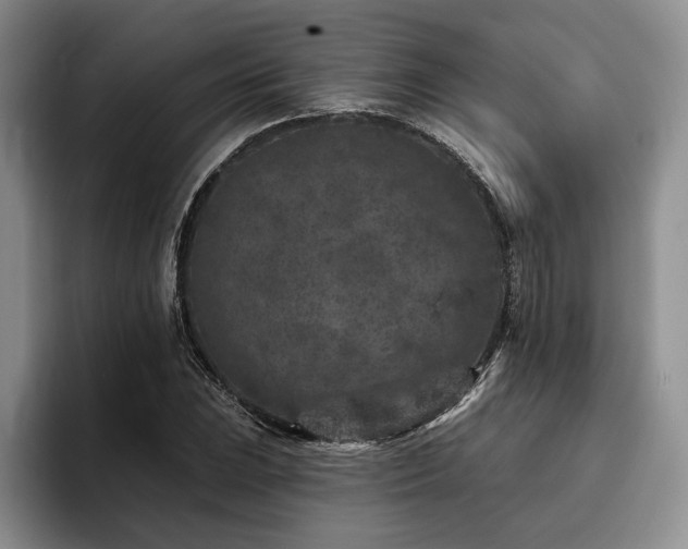X0000096131023200801181108