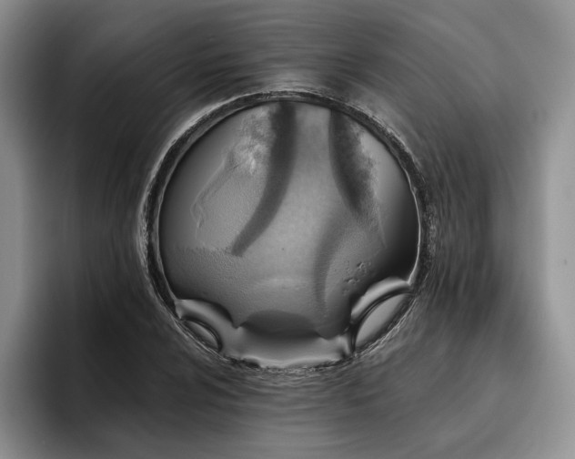 X0000096131024200801181108