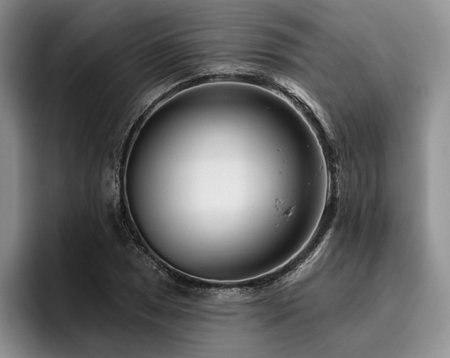 X0000096131025200801181108