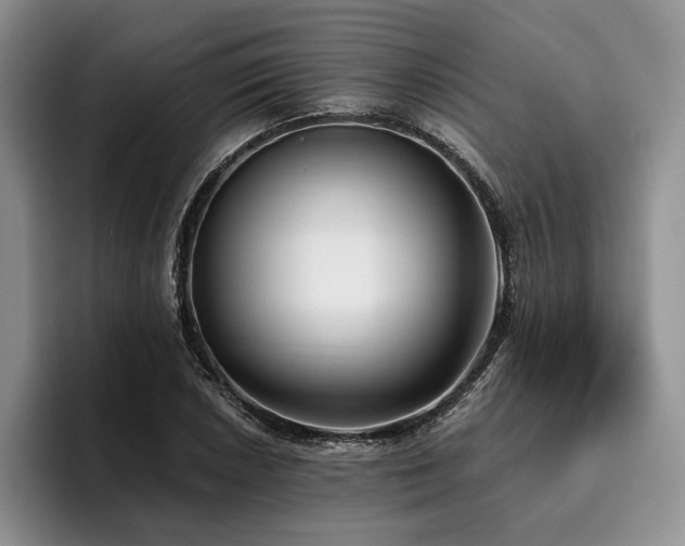 X0000096131026200801181108