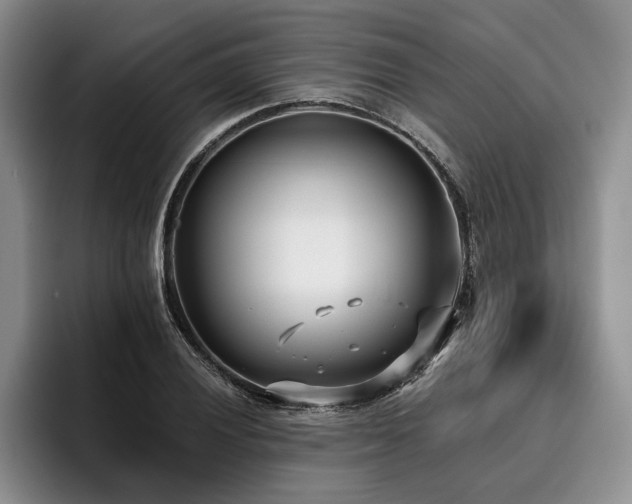 X0000096131028200801181108
