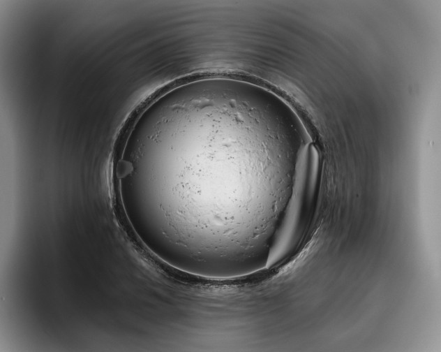 X0000096131030200801181108