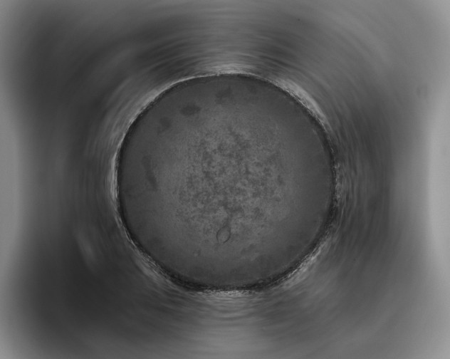 X0000096131031200801181108