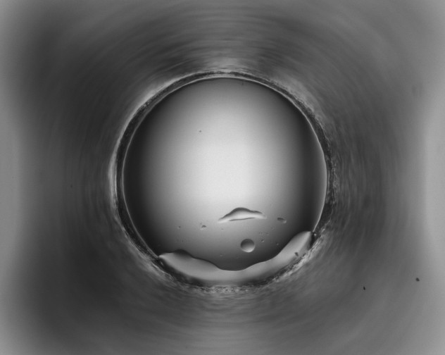X0000096131032200801181108