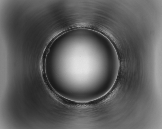 X0000096131034200801181108