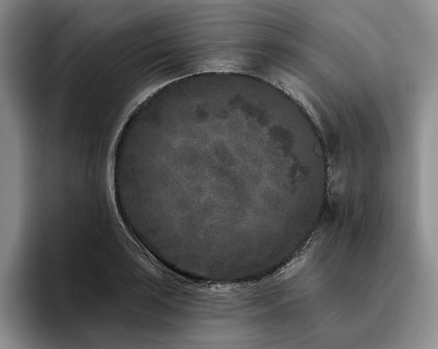 X0000096131035200801181108