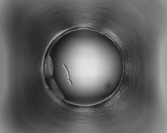 X0000096131036200801181108