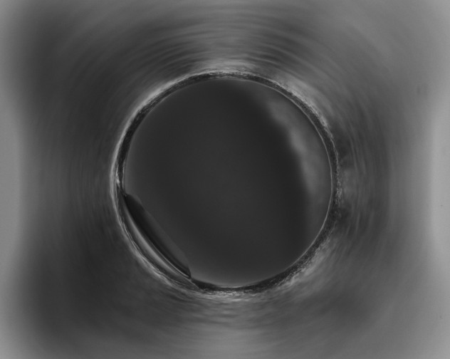 X0000096131037200801181108
