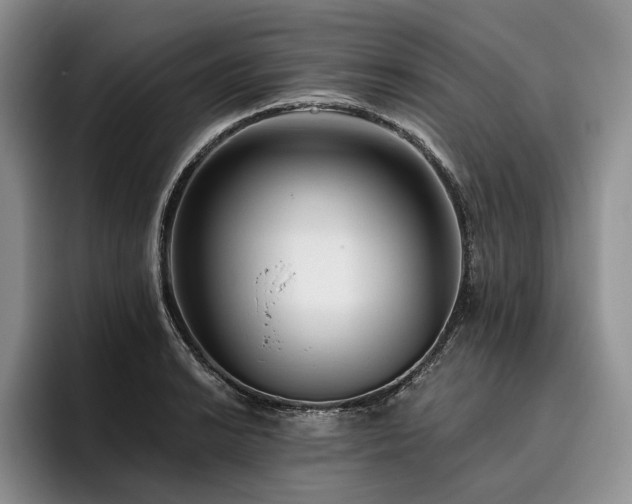 X0000096131038200801181108