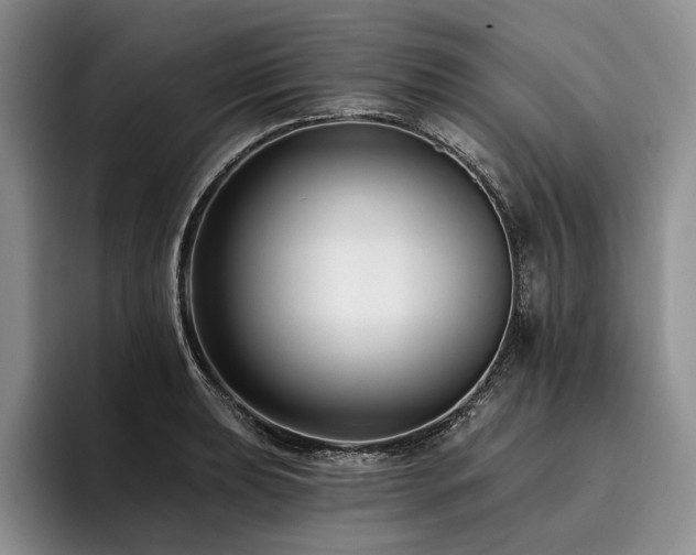 X0000096131039200801181108