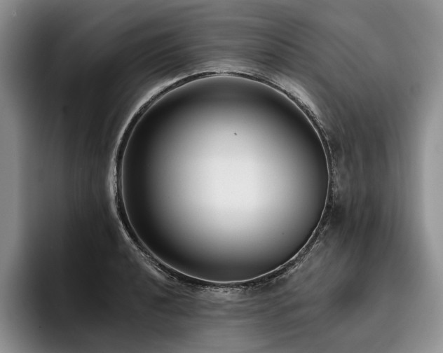 X0000096131040200801181109