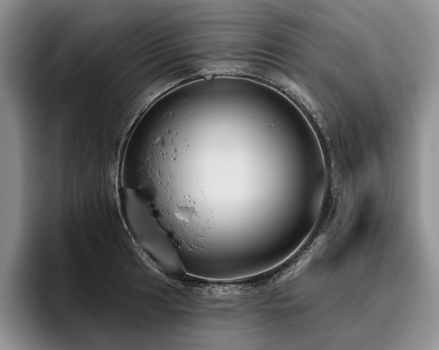 X0000096131041200801181109