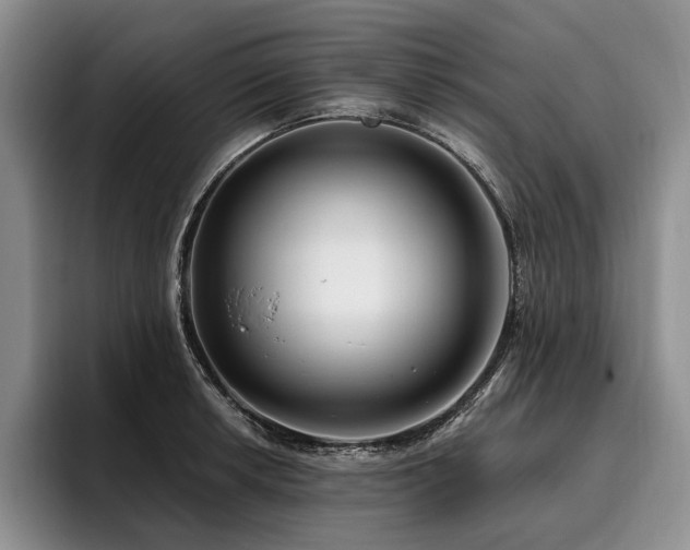 X0000096131042200801181109